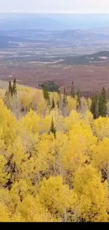 Vibrant golden forest stretching towards distant mountains under a clear sky.