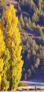 Autumn trees with mountains in the background, perfect for nature wallpaper.