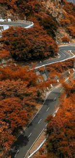 Winding mountain road with vibrant autumn foliage creating a scenic view.