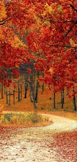 Autumn path with vibrant red-orange foliage.