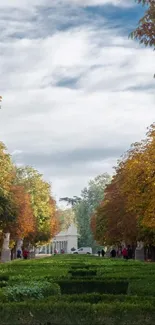 Stunning scenic view with autumn trees and a lush green garden.