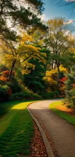 Scenic autumn pathway with vibrant foliage in a serene forest setting.