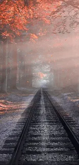 Scenic railway through an autumn forest with orange and brown hues.