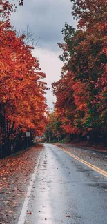 Scenic autumn road with vibrant fall leaves.