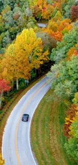 Winding road through vibrant autumn forest.