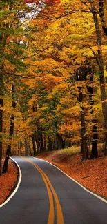 Autumn road through vibrant orange fall foliage.