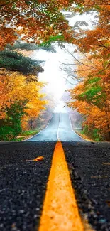 Scenic road through vibrant autumn foliage under a canopy of orange-hued trees.