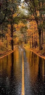 Autumn road with wet, reflective surface surrounded by golden trees.