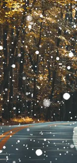 Scenic autumn road with falling snow in forest.