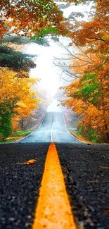 Scenic autumn road through vibrant fall foliage in an uplifting mobile wallpaper.