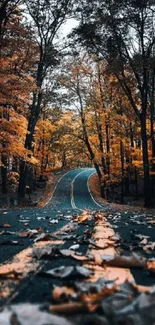 Scenic road through autumn forest with vibrant orange foliage.