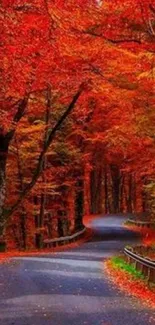 Winding road through vibrant red autumn forest.