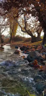 Autumn stream with colorful leaves and serene landscape.