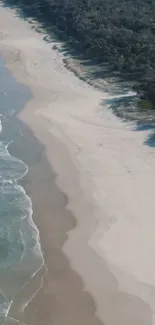 Aerial view of a scenic sandy beach meeting gentle ocean waves.