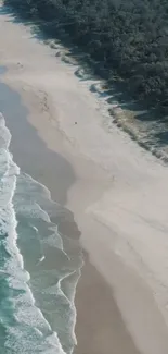 Aerial view of a serene beach with gentle waves and lush greenery.