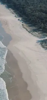 Aerial view of a tranquil beach with waves and lush forest edge.