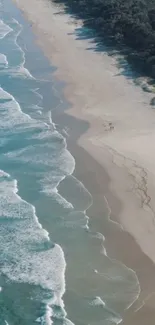 Aerial view of a tranquil beach with waves and lush greenery on the shoreline.