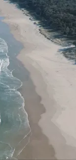 Aerial view of a scenic beach and lush green forest.