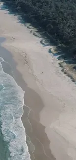 Aerial view of a coastline with waves and a sandy beach next to a forest.