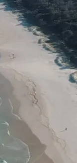 Aerial view of a serene sandy beach with gentle ocean waves.