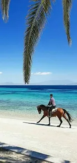 Horseback rider on a tropical beach with palm trees and azure ocean.