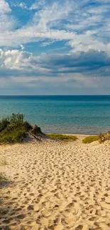 Serene beach path leading to a clear ocean under a blue sky.