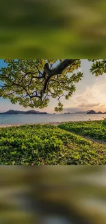 Serene beach sunset with lush greenery under a colorful sky.