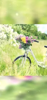 Bicycle with flower basket in a green meadow scene.