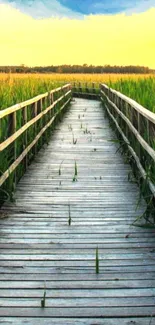 Scenic boardwalk at sunset surrounded by lush greenery.