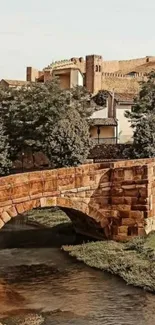 Scenic stone bridge over serene stream in a nature-rich setting.