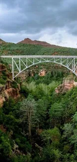 Scenic bridge over lush green canyon with rocks and sky