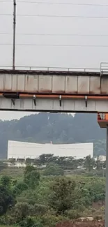 Scenic view of a railway bridge amid lush greenery.