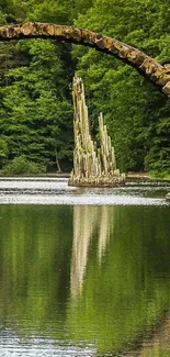 Stone bridge over reflective water in lush green forest.