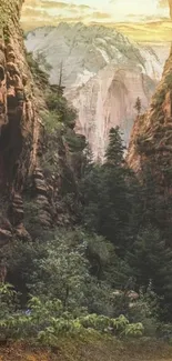 Scenic canyon at sunrise with golden sky and lush greenery on mobile wallpaper.