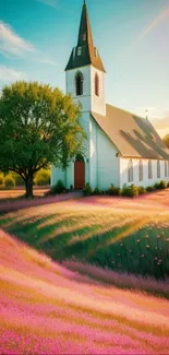 Charming church amidst pink blooming fields at sunset, capturing nature's tranquility.