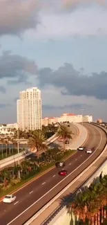 City highway with tropical skyline and blue skies.