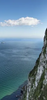 Cliff overlooking serene blue ocean with clear sky.