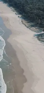 Aerial view of a sandy beach and forest along the ocean shore.