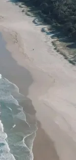 Aerial view of a scenic beach with waves and sandy shore.