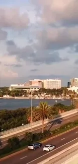 Coastal cityscape with palm trees lining a highway and waterfront.