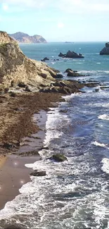 Scenic ocean view with sandy beach and rocky cliffs.