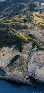 Aerial view of a coastal cliff with greenery and blue ocean.