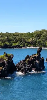 Scenic coastal view with ocean and greenery.