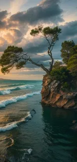 Dramatic coastal sunset with waves and a tree on a cliff.