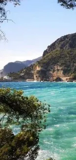 Turquoise sea with cliffs and trees on a sunny day.