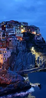 Scenic view of a coastal village at night with colorful houses.