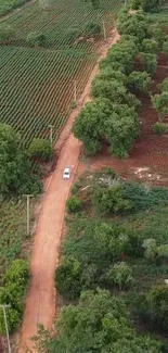 Aerial view of a dirt road through green fields and trees.