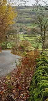 Scenic autumn pathway with mossy wall