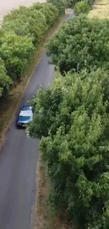 Aerial view of a car driving on a tree-lined country road.