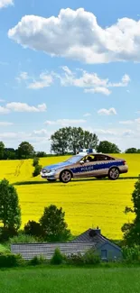 Convertible driving through fields under a blue sky.